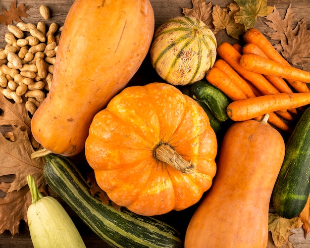 Colorful autumn harvest top view 