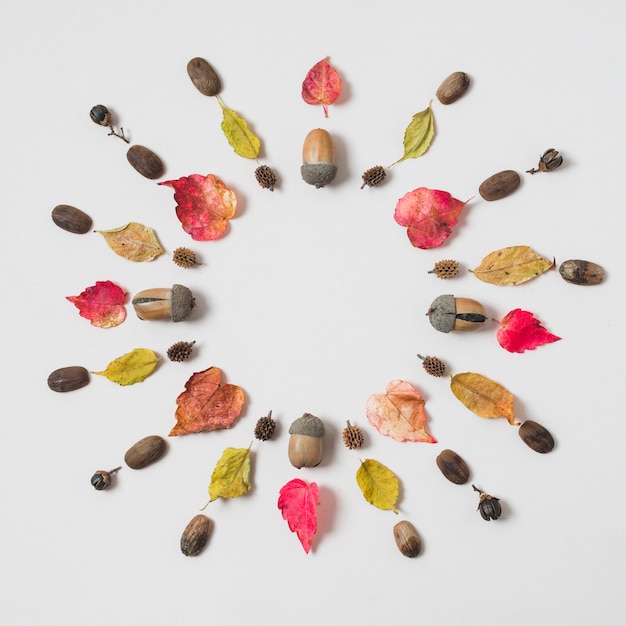 Foto gratuita cornice rotonda foglie colorate d'autunno