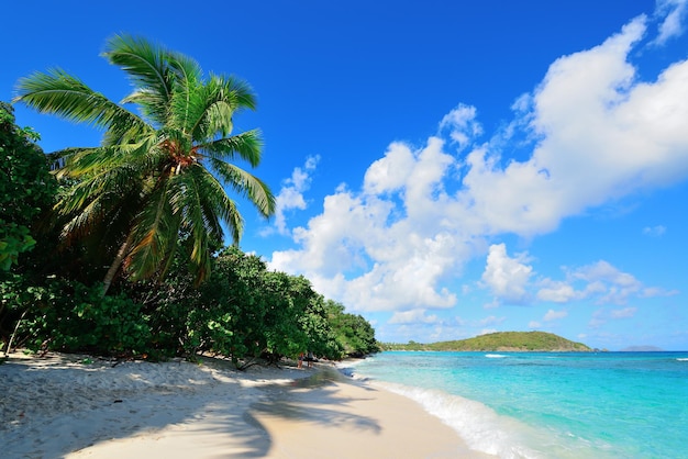 버진 아일랜드 세인트 존의 코코넛 나무와 푸른 하늘이 있는 다채로운 해변.