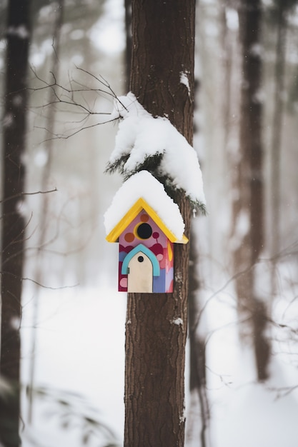 Красочный птичий домик на открытом воздухе