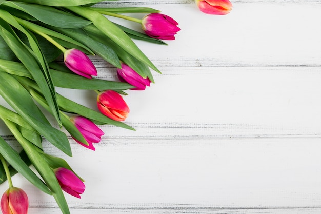 Colorful bouquet of tulips 