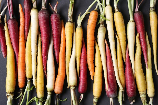 Colorful carrots