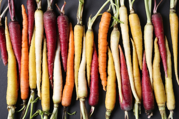 Colorful carrots