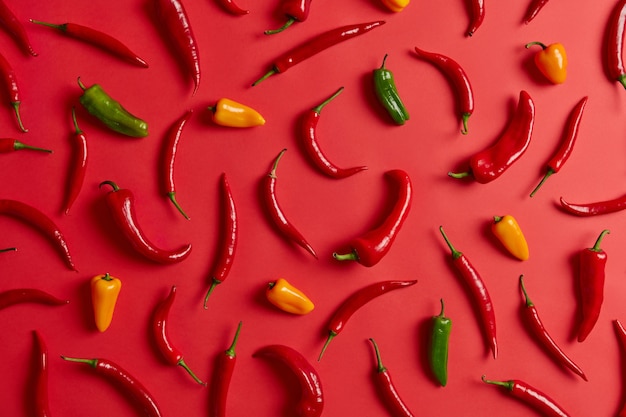 Colorful chili peppers on red vibrant background. Organic food concept. Fresh hot vegetable for dishes. Seasoning and food concept. View from above, flat lay. Healthy ingredient. Heat spicy product