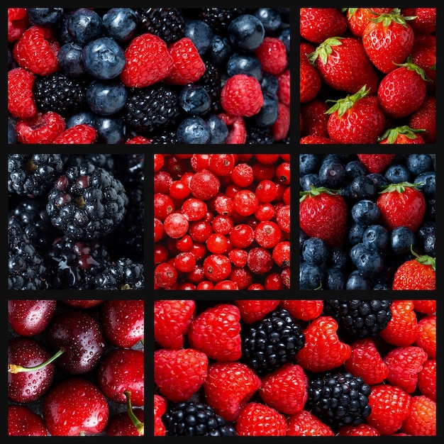 Colorful collage of fruits texture close up