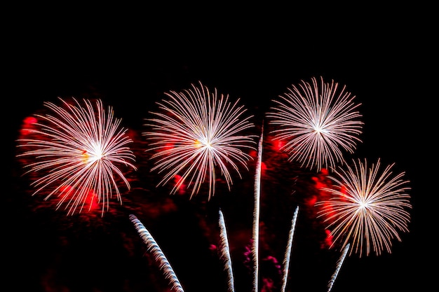 Colorful firework display