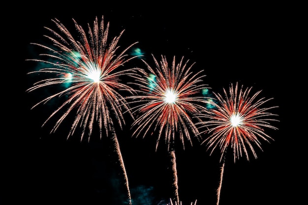 colorful firework display 