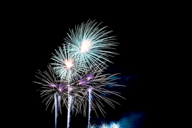 Free photo colorful fireworks in night sky