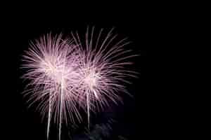 Foto gratuita fuochi d'artificio colorati nel cielo notturno