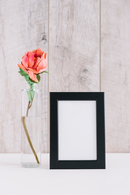 Colorful flower in vase near blank picture frame on table