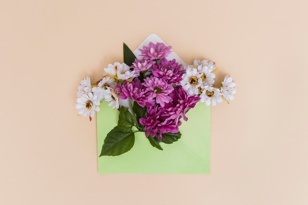 Colorful flowers in envelope