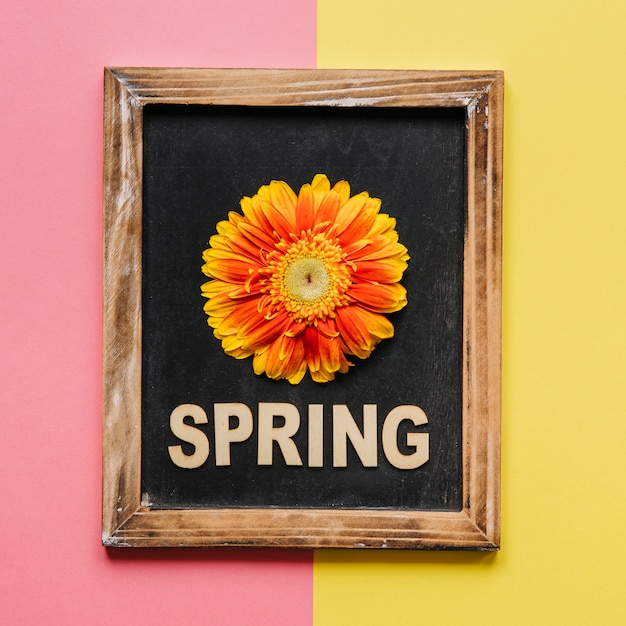 Colorful flowers and spring blackboard