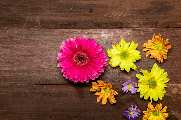 Colorful flowers on wooden background