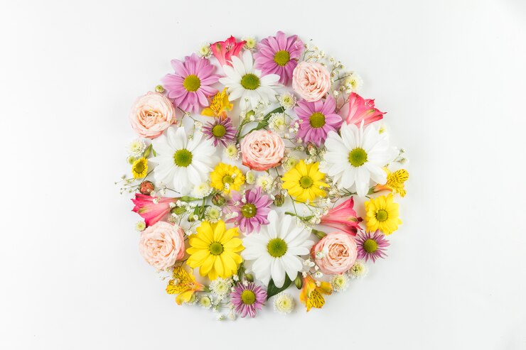 Free Photo colorful fresh flowers arranged in circle on white background