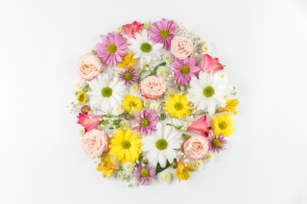 Colorful fresh flowers arranged in circle on white background