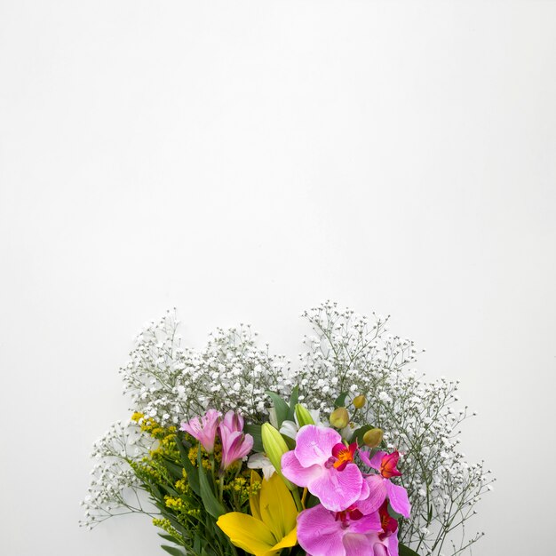 Colorful fresh flowers on bottom of white background