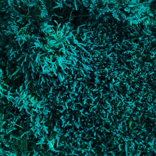Бесплатное фото Красочный фон текстуры травы