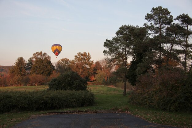 Colorful hot air balloon in the sky over the trees and the grass-covered fields