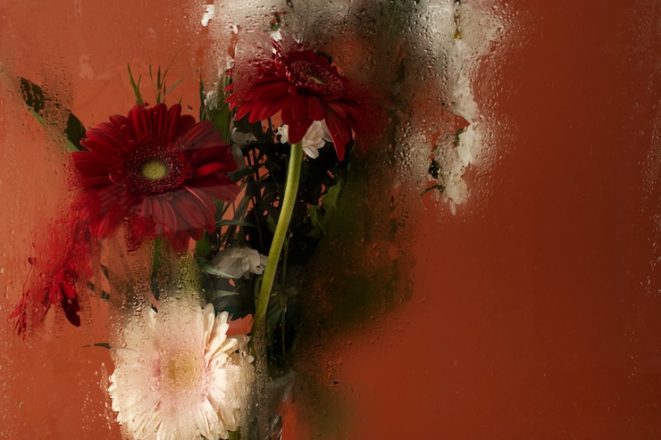 Free Photo colorful humidity glass