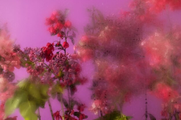 Colorful humidity glass