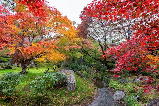 Красочные листья в осеннем парке, Япония.