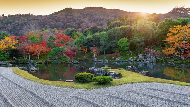 日本の秋の公園の色とりどりの葉。