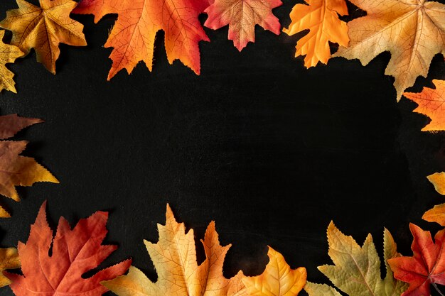 Colorful leaves on black background