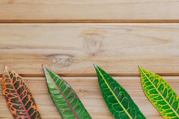 Free photo colorful leaves placed on a brown wood scene.