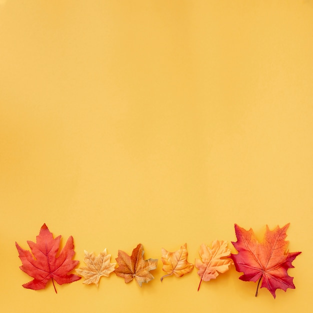 Разноцветные листья на желтом фоне