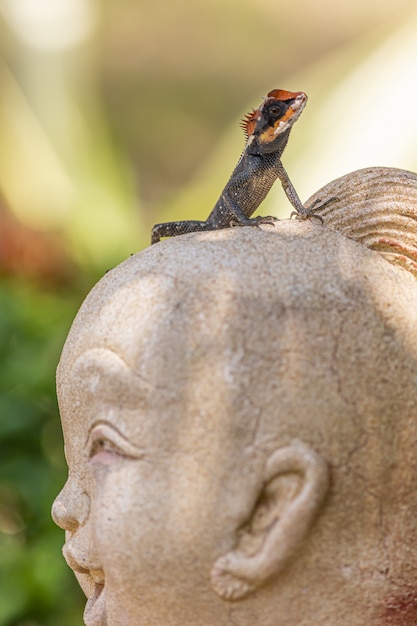 Colorful lizard on top of sculpture