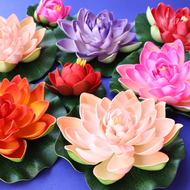 Colorful Lotus Flowers Background