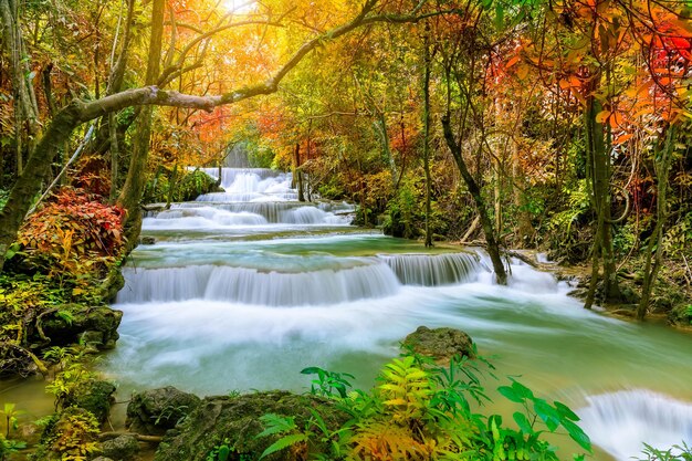 秋の国立公園の森のカラフルな雄大な滝画像