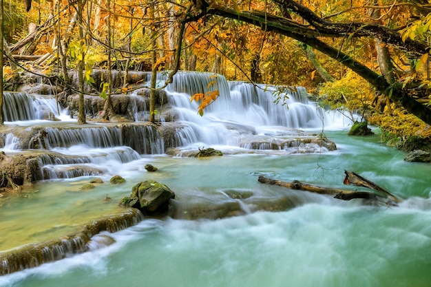 Красочный величественный водопад в лесу национального парка осенью Изображение