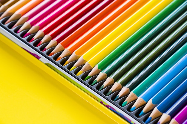 Colorful multicolored pencils for drawing and painting