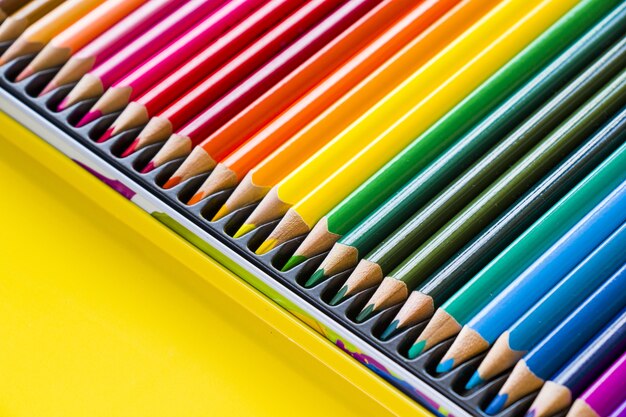 Colorful multicolored pencils for drawing and painting