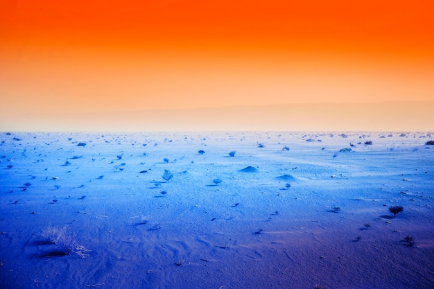 colorful retro vaporwave landscape
