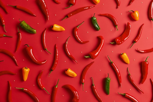 Colorful spicy chili peppers isolated on red background. Hot green yellow and red pepper used to prepare strong curry. Herbs grown at garden. Nutrition and food concept. Creative composition