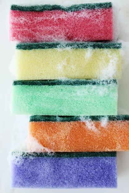 Colorful sponges