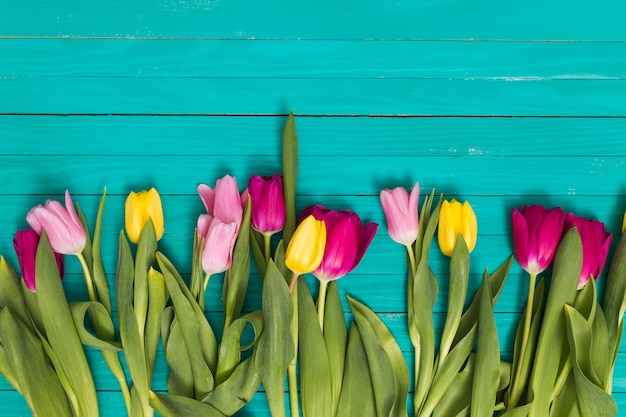 Colorful tulip flowers arranged on bottom of green wooden background