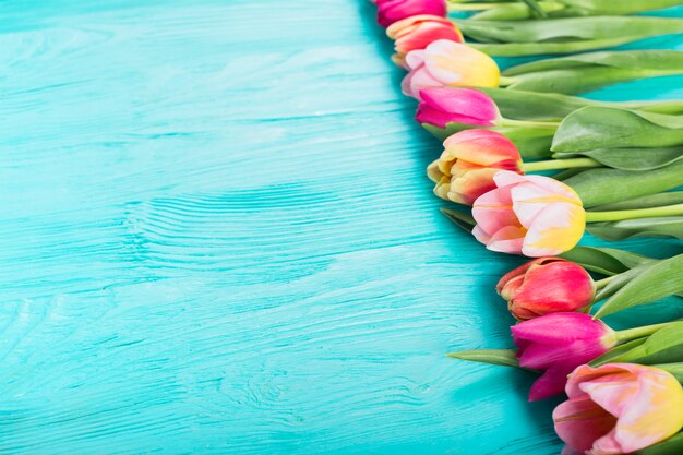 Colorful tulips in line