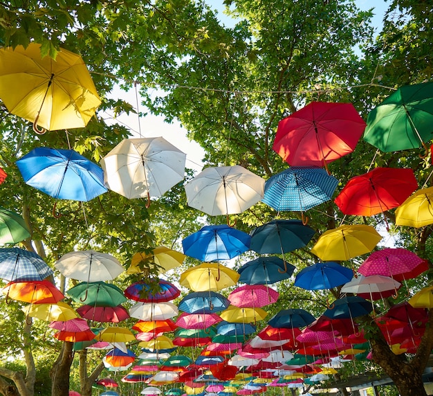 Colorful umbrella hanging from trees