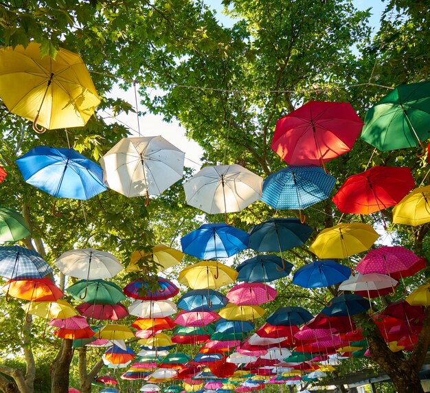 Colorful umbrella hanging from trees