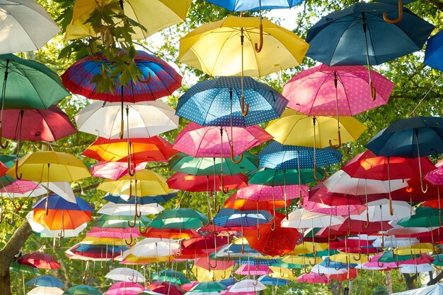 Colorful umbrella hanging from trees