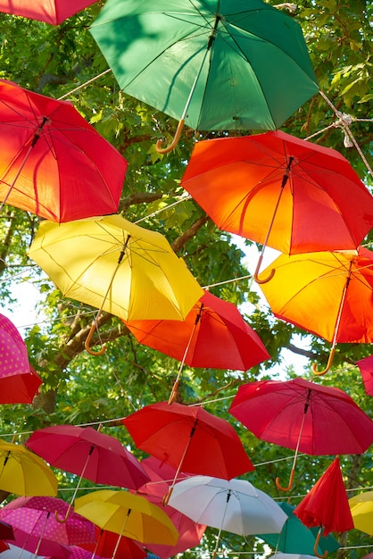 Красочные зонтик висит от деревьев