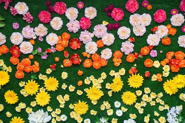 Colourful flowers and green grass