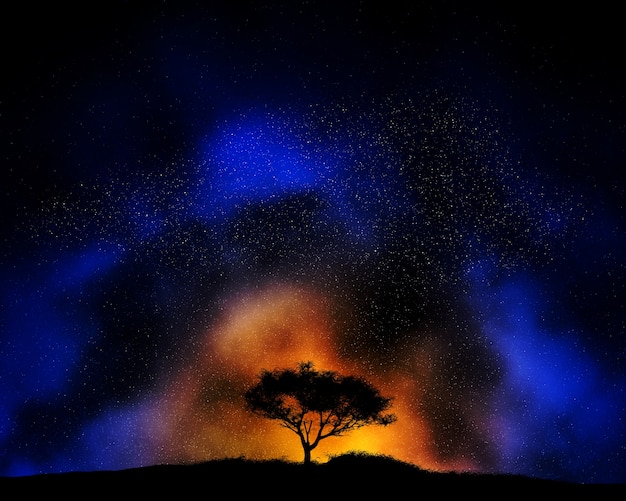 Colourful night sky background with silhouetted tree landscape