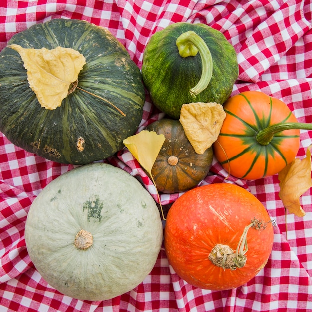 Colourful pumpkins on checked tablecloth