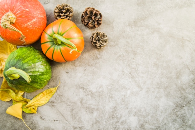 Colourful pumpkins on table with pine cone