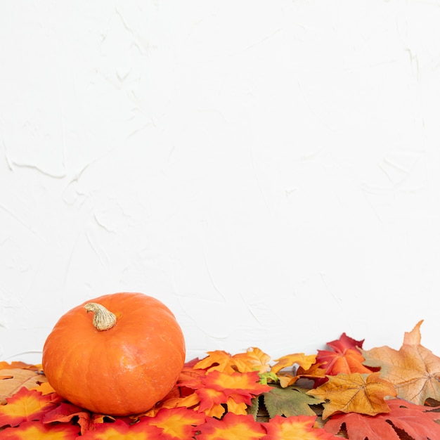 Colourul leaves and pumpkin with white background