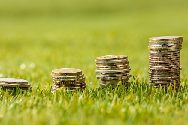 The columns of coins on grass